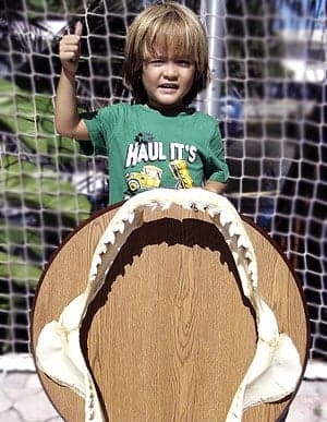 1400 pound tiger shark jaws mounted on a wood plaque