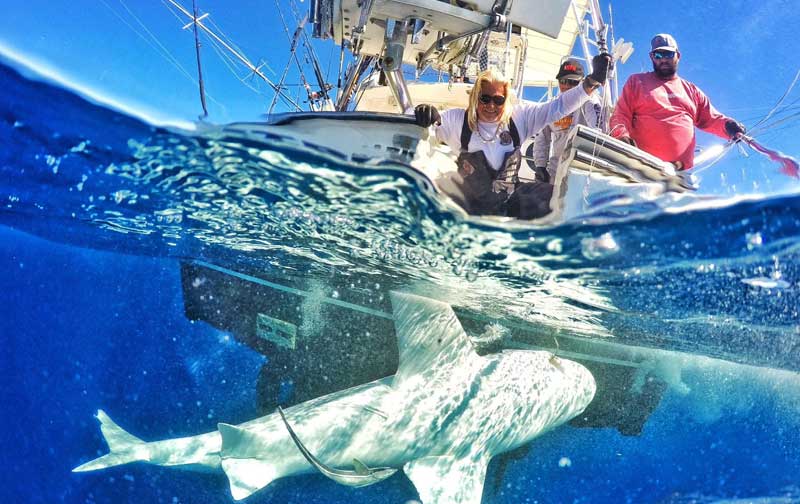 Mark The Shark angler with a trophy catch