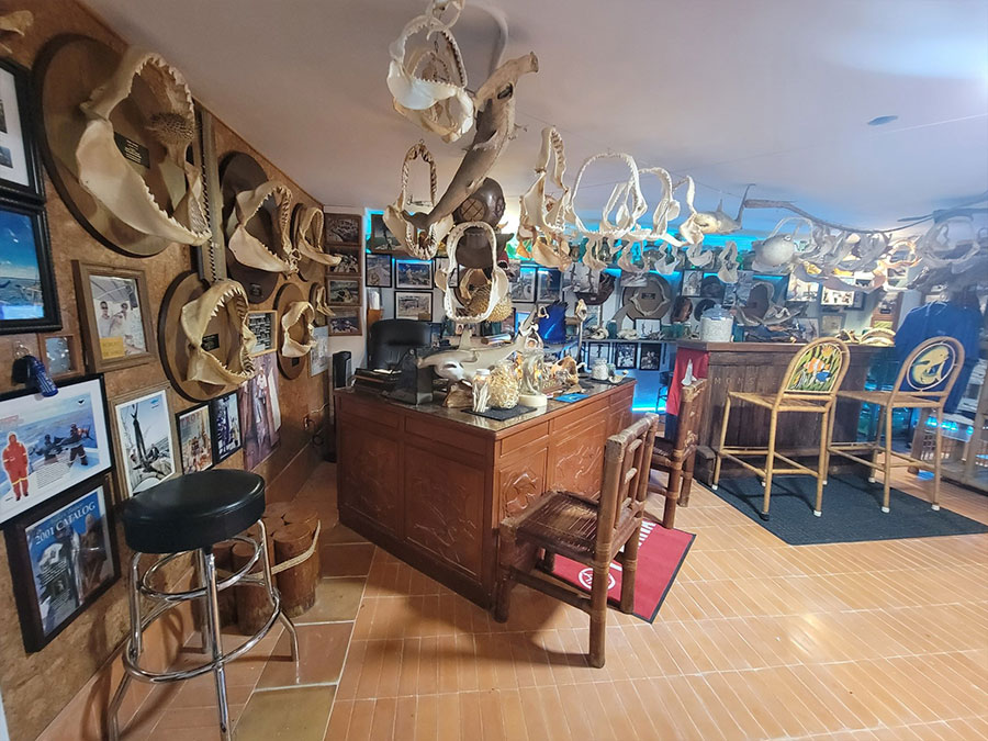 Sea Life and Shark Museum exhibit