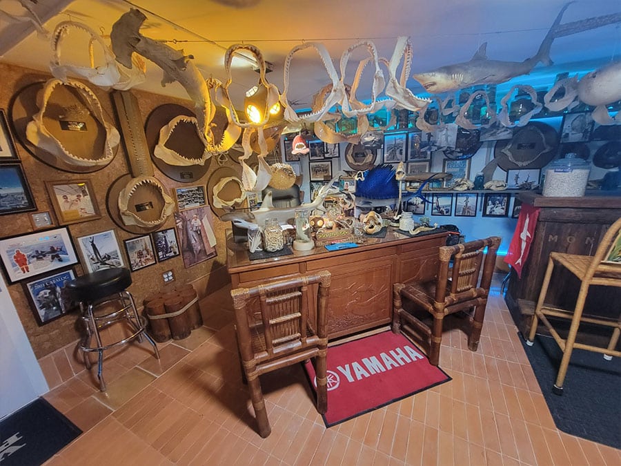 Sea Life and Shark Museum exhibit