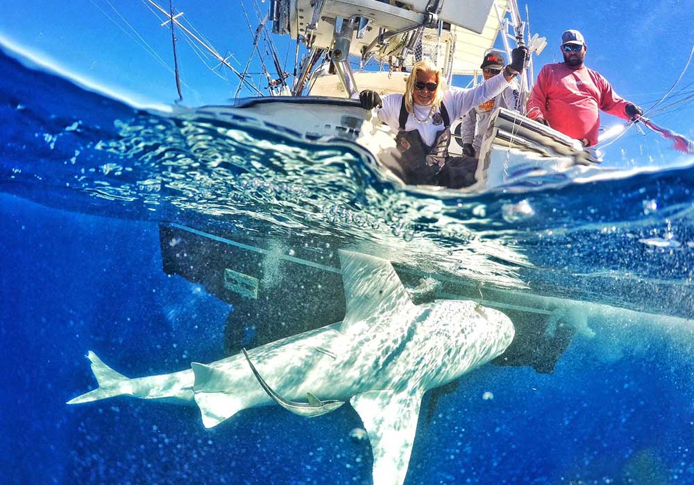 Captain Mark The Shark with a trophy catch