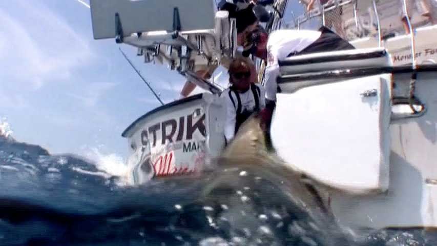 Fishing highlight of the week aboard Mark The Shark