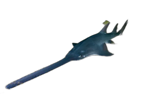 Saw Fish